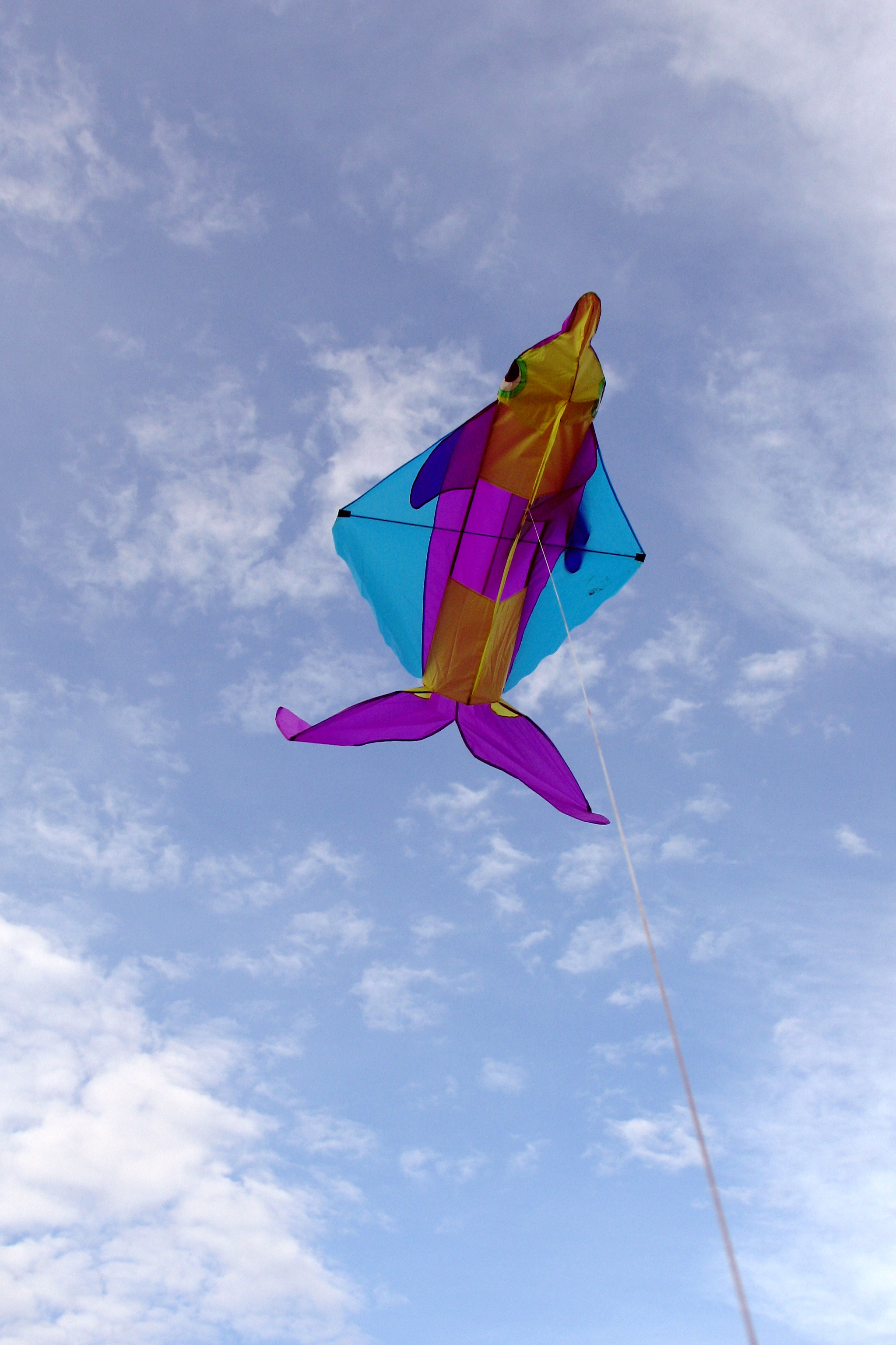 Dolphin 3-D 